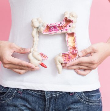 Woman holding model of intestine