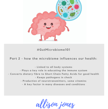 Gut Microbiome 101 graphic - how the gut microbiome infliuences our heakth