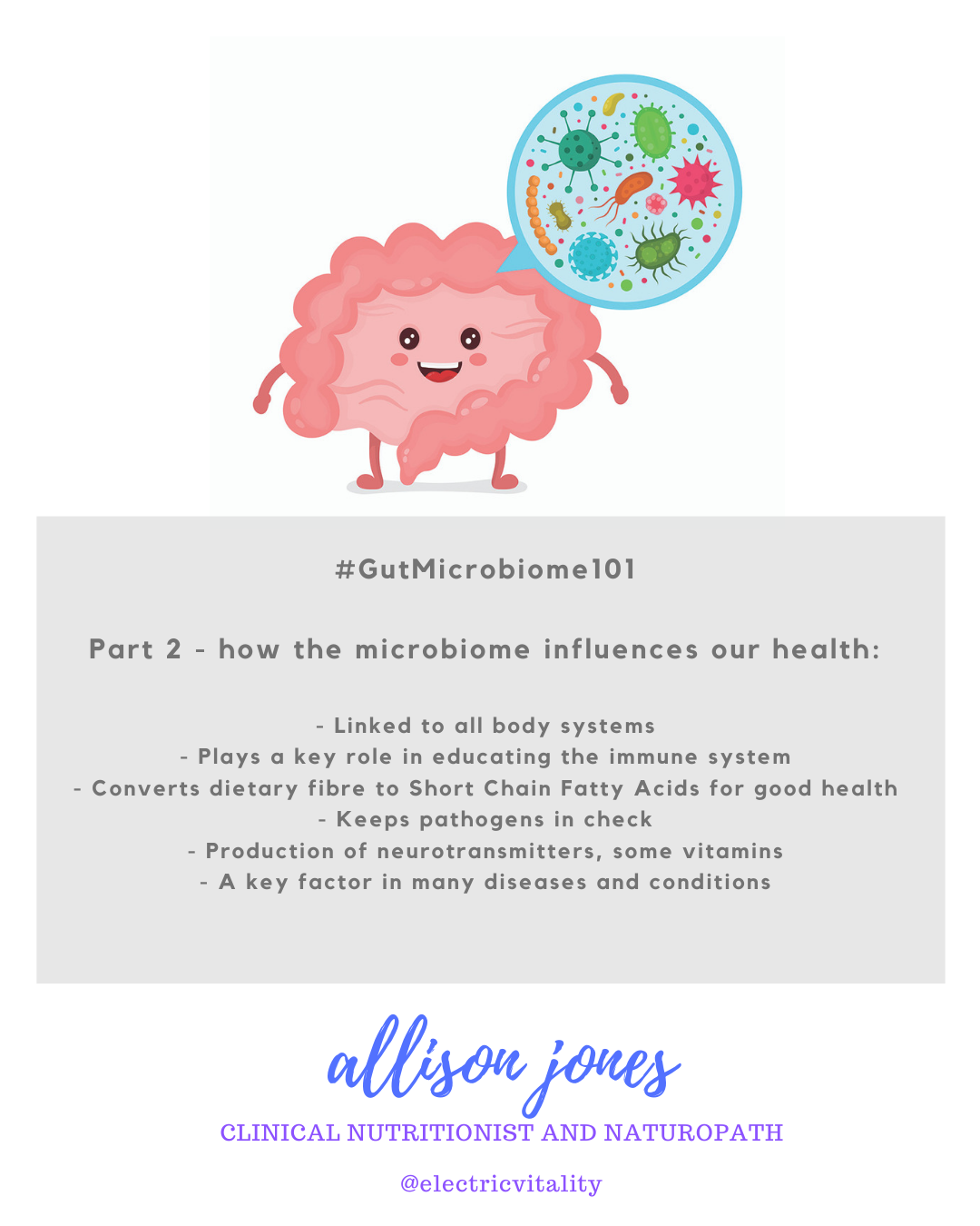 Gut Microbiome 101 graphic - how the gut microbiome infliuences our heakth