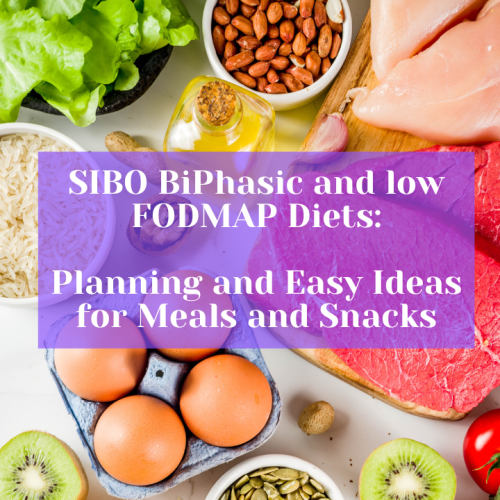Flatlay of foods for Bi-Phasic and low FODMAP diets